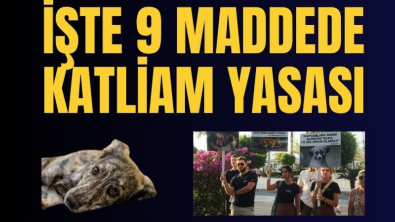 İşte 9 maddede katliam yasası