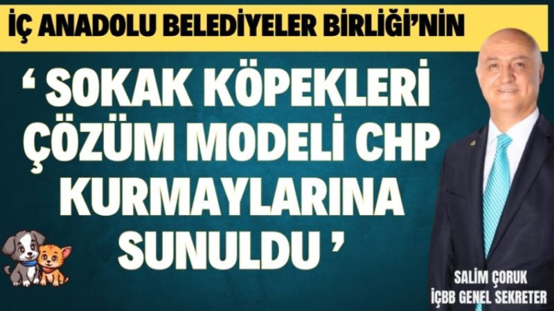  İÇBB'NİN SOKAK KÖPEKLERİ ÇÖZÜM MODELİ CHP KURMAYLARINA SUNULDU