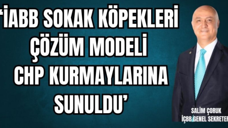 İÇBB NİN SOKAK KÖPEKLERİ ÇÖZÜM MODELİ CHP KURMAYLARINA SUNULDU 